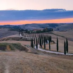 Winding road lined with cypress trees leading to a Tuscan villa at sunset.