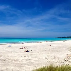 Vada Spiagge Bianche: sabbia chiara, mare turchese e cielo azzurro. Persone rilassate al sole su questa splendida costa.