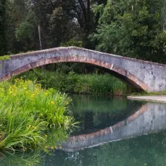 Ponte in pietra nel parco della Versiliana, con vegetazione lussureggiante e fiori gialli che si specchiano nell'acqua calma.