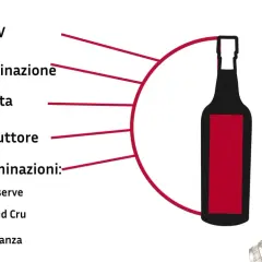 Consigli per l'acquisto di vino cabernet origine italiano: ABV, denominazione, annata, produttore e denominazioni come Reserve, Grand Cru, Crianza.