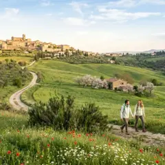 Coppia passeggia con cane tra fiori e ulivi, scoprendo gli **Arezzo geheimtipps** con borgo medievale sullo sfondo.