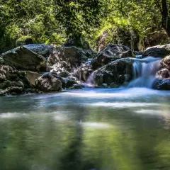 Cascata in un bosco rigoglioso, con rocce levigate dall'acqua. Un'oasi di pace che ricorda le suggestive terme di Siena.