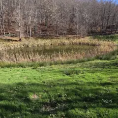 Un piccolo lago, il lago degli idoli, riflette il cielo tra canneti e un bosco spoglio. L'erba verde brillante copre il pendio.