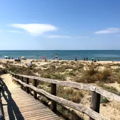 Passerella in legno conduce alla spiaggia di Tirrenia, con bagnanti e ombrelloni sotto il sole. Il mare calmo invita a un tuffo.