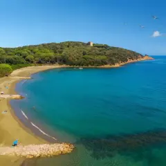 Spiaggia dorata baciata da acque turchesi, un angolo di paradiso tra i pini marittimi. Un vero gioiello tra le punta ala spiagge più belle.