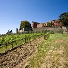 Un vigneto rigoglioso si estende verso un antico castello in mattoni rossi, un'immagine iconica della strada dei castelli del Chianti.