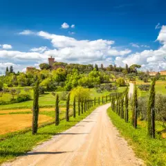 A winding dirt road lined with cypress trees leads to a Tuscan village on a hill under a blue sky.