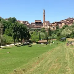 Prato verde con alberi e la città di Siena sullo sfondo, con la Torre del Mangia visibile. Un luogo tranquillo, forse l'orto dei pecci siena.