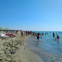 Una giornata di sole a Marina di Tirrenia, con bagnanti che si godono il mare e la spiaggia affollata di ombrelloni e lettini.