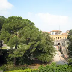 Un angolo del giardino Scotto, con pini marittimi e un edificio storico con arcate.