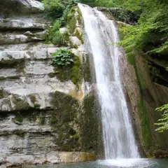 Cascata fragorosa su rocce stratificate, circondata da vegetazione lussureggiante. L'acqua cheta scende impetuosa, creando un velo bianco.