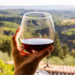 Un bicchiere di vino rosso, forse il miglior Morellino di Scansano, con un panorama collinare toscano sullo sfondo.