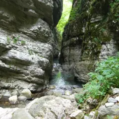 Un torrente scorre tra le alte pareti rocciose dell'orrido di Botri, con vegetazione che cresce tra le rocce e lungo le sponde.