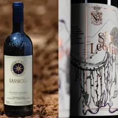Sassicaia, un vino iconico, forse il più costoso, accanto a un'altra bottiglia con etichetta artistica.
