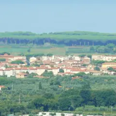 Panoramica di Donoratico, con case dai tetti rossi immerse nel verde degli ulivi e una pineta sullo sfondo. Cosa vedere in questo scorcio di Toscana.