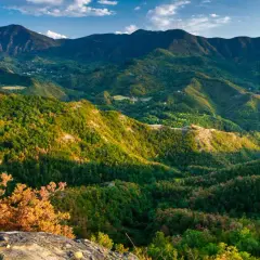 Panoramica mozzafiato dal passo del Muraglione, con colline verdi e montagne sullo sfondo.