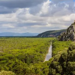 Un fiume serpeggia tra fitti boschi verdi, un paesaggio tipico dei parchi della Toscana, con una torre antica su una collina rocciosa.