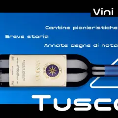 Bottiglia di vino Sassicaia, un Super Tuscan, con etichetta che menziona la varietà di uva e la sua storia.