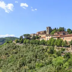 Panoramica di Montecatini Alto, un borgo toscano su una collina verdeggiante. Un luogo incantevole da esplorare, con case colorate e un campanile antico.