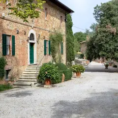 Ingresso della fattoria del colle Trequanda, con scalinata in pietra, porta verde e piante in vaso.
