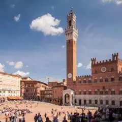 La Piazza del Campo di Siena, con la Torre del Mangia svettante, brulica di gente sotto un cielo azzurro.
