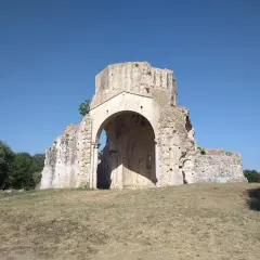 Rovine dell'abbazia di San Bruzio sotto un cielo azzurro, con alberi sullo sfondo.