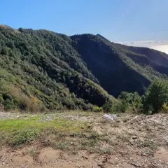 Panoramica di montagne boscose con il mare all'orizzonte, un paesaggio che evoca la serenità del pasquilio massa.