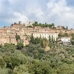 Panoramica di un borgo collinare con case in pietra e tetti rossi, circondato da uliveti. Marina di Campiglia, un gioiello toscano.