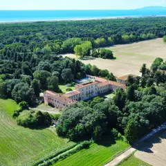 Villa storica immersa nella pineta di levante, con campi coltivati e il mare all'orizzonte.