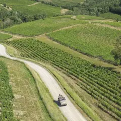 Un tour cantine Chianti in fuoristrada tra dolci colline e vigneti rigogliosi.