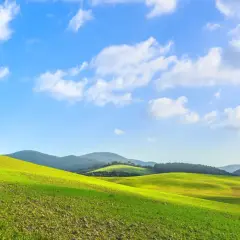 Colline verdi sotto un cielo azzurro con nuvole bianche, un sentiero sterrato conduce a una torre antica. Paesaggio tipico per i vini toscani.