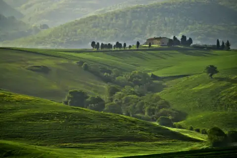 Dolci colline verdi vicino Orciano Pisano, con una casa isolata e cipressi.
