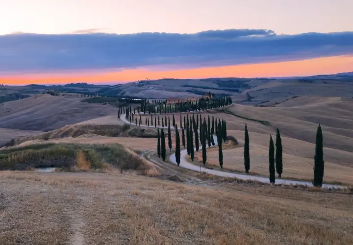 Winding road lined with cypress trees leading to a Tuscan villa at sunset.