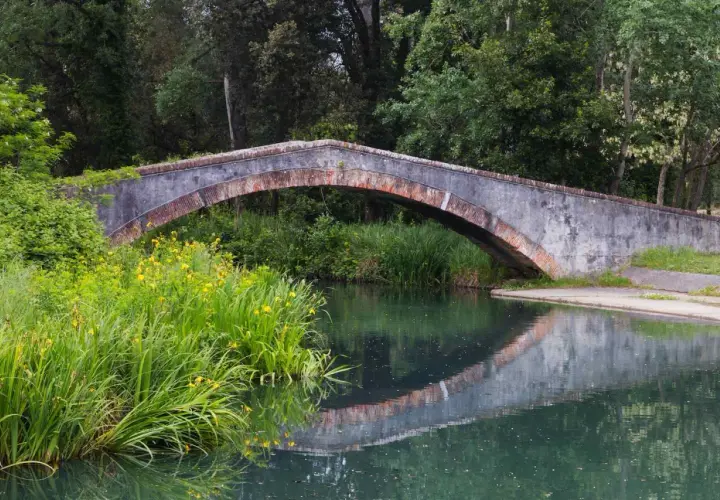 Ponte in pietra nel parco della Versiliana, con vegetazione lussureggiante e fiori gialli che si specchiano nell'acqua calma.