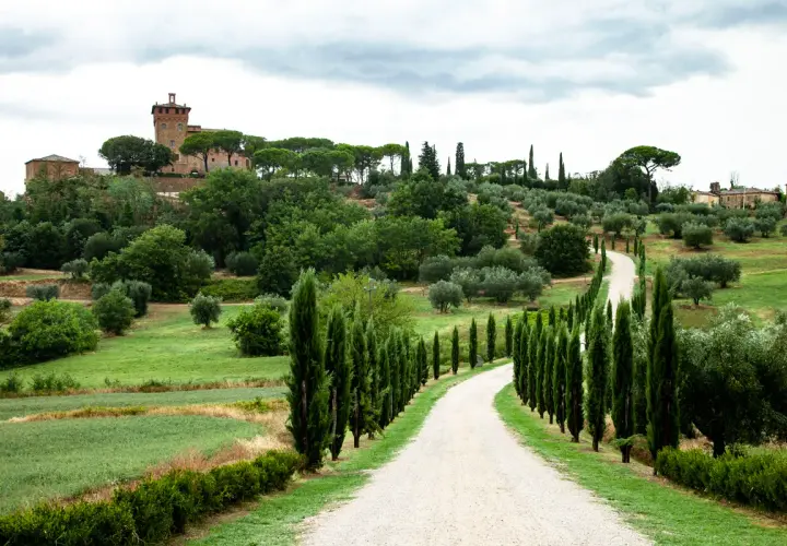 Strada bianca serpeggia tra cipressi nel **Val d'Orcia Pienza**, con un casale in cima alla collina.
