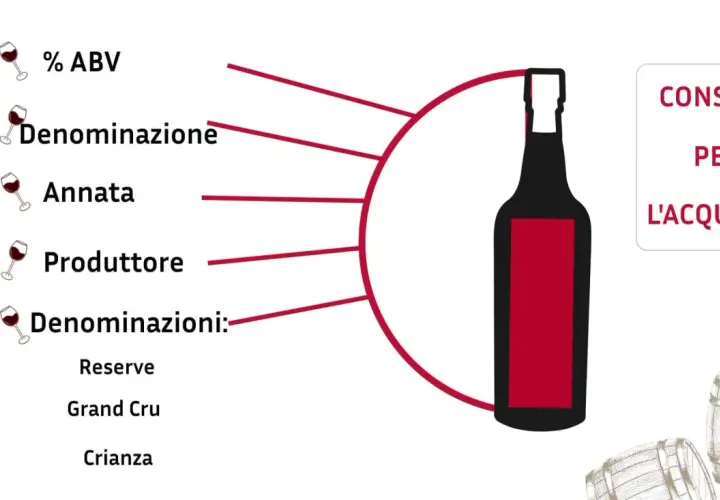Consigli per l'acquisto di vino cabernet origine italiano: ABV, denominazione, annata, produttore e denominazioni come Reserve, Grand Cru, Crianza.