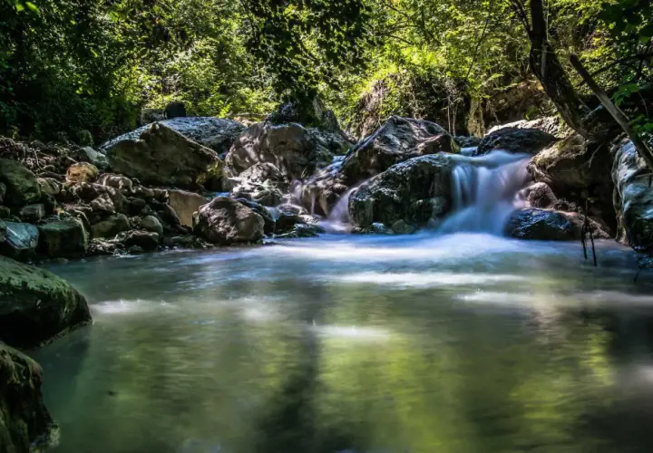 Cascata in un bosco rigoglioso, con rocce levigate dall'acqua. Un'oasi di pace che ricorda le suggestive terme di Siena.