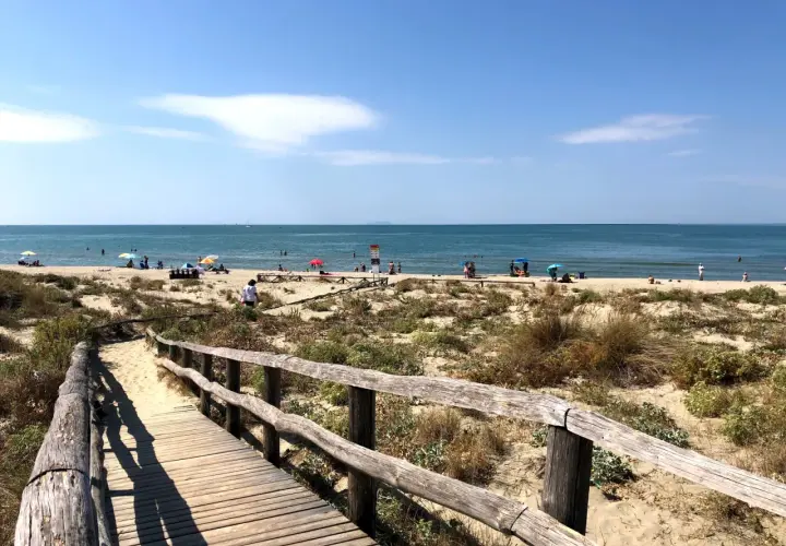Passerella in legno conduce alla spiaggia di Tirrenia, con bagnanti e ombrelloni sotto il sole. Il mare calmo invita a un tuffo.
