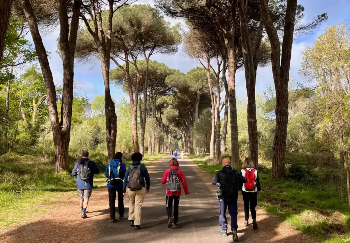 Gruppo di escursionisti cammina su un sentiero alberato, godendosi la natura. Il **san rossore** del cielo si riflette tra i pini.