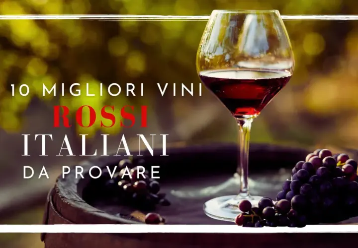 Un calice di rosso rubino, uva e un barile: l'essenza del miglior vino rosso italiano da scoprire.