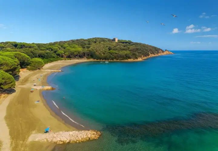 Spiaggia dorata baciata da acque turchesi, un angolo di paradiso tra i pini marittimi. Un vero gioiello tra le punta ala spiagge più belle.
