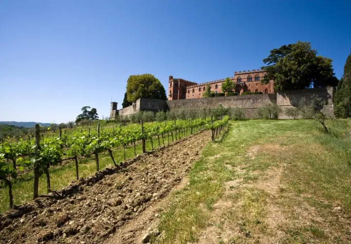 Un vigneto rigoglioso si estende verso un antico castello in mattoni rossi, un'immagine iconica della strada dei castelli del Chianti.