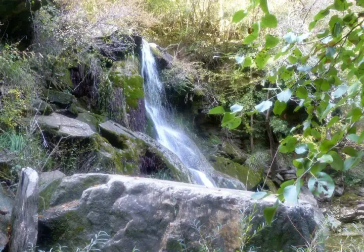 Cascate naturali a Monteverdi Marittimo, con rocce ricoperte di muschio e vegetazione lussureggiante.