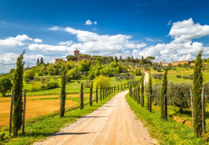 A winding dirt road lined with cypress trees leads to a Tuscan village on a hill under a blue sky.