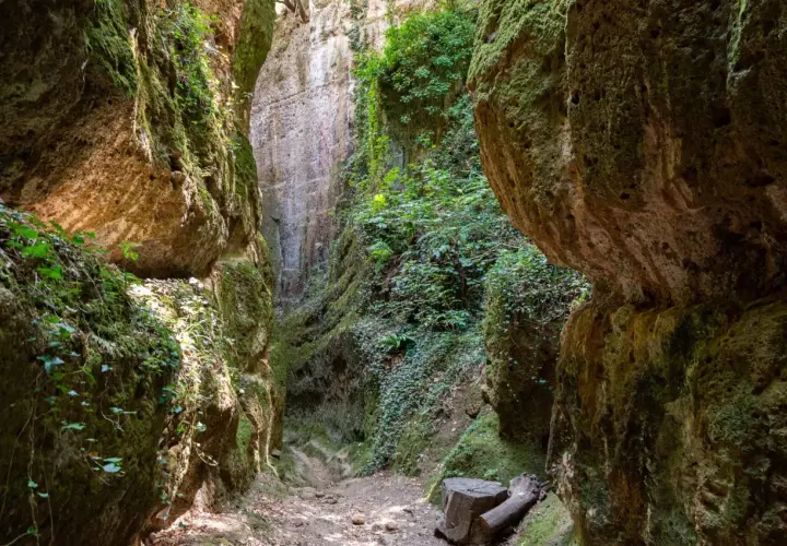 Un sentiero stretto tra alte pareti rocciose ricoperte di muschio e vegetazione. Un luogo selvaggio dove la natura regna sovrana, cosa vedere in questo canyon incantato.