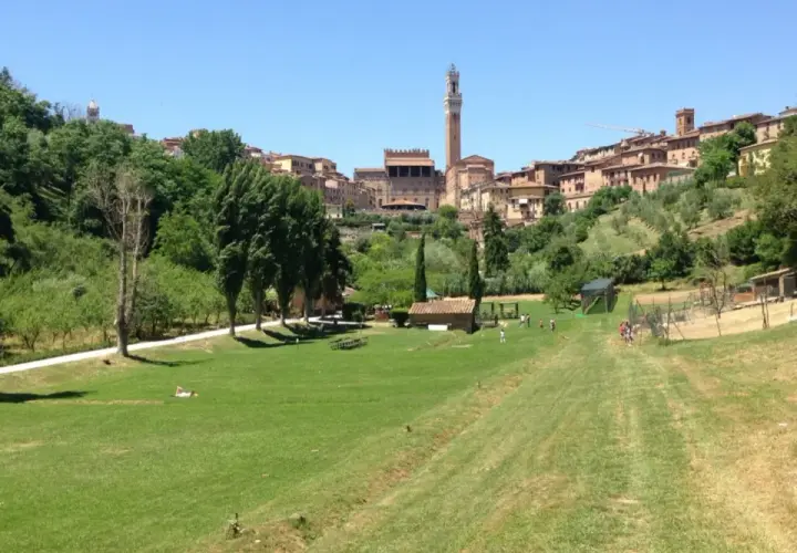 Prato verde con alberi e la città di Siena sullo sfondo, con la Torre del Mangia visibile. Un luogo tranquillo, forse l'orto dei pecci siena.