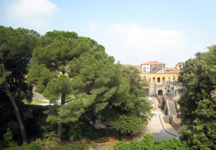 Un angolo del giardino Scotto, con pini marittimi e un edificio storico con arcate.