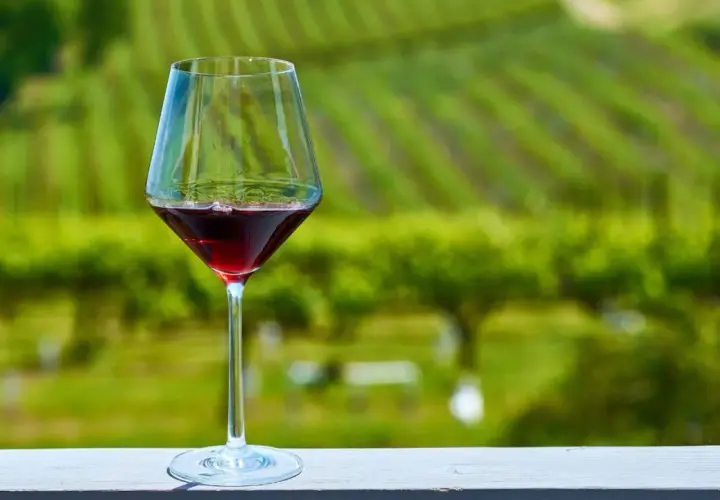 Calice di vino rosso su un tavolo con vigneti verdi sullo sfondo, un assaggio dei migliori vini.
