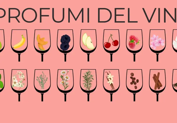 I profumi del vino: pere, banane, meloni, more, mele, ciliegie, lamponi, fiori, menta, camomilla, rosmarino, vaniglia, caffè, cannella, pepe. I vitigni aromatici offrono un'ampia gamma di sentori.