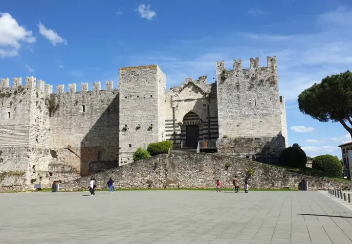 Castello medievale nel prato centro storico, con un grande albero e cielo azzurro.